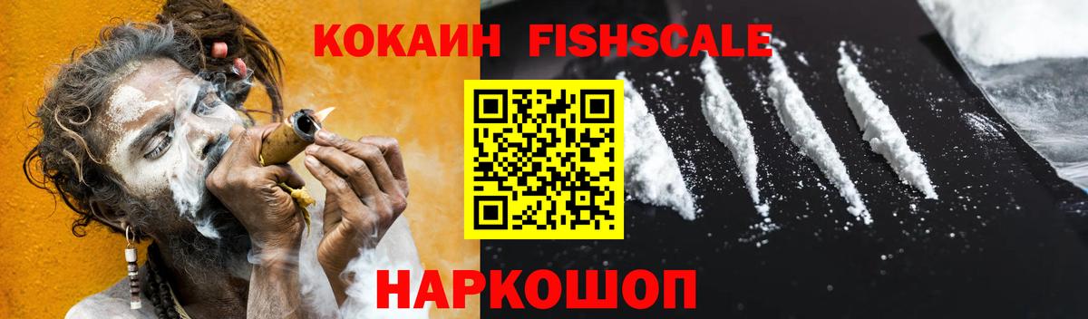 Cocaine FishScale  Вход с VPN  Канаш  Cocaine Fish Scale 