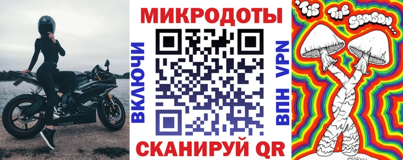 Псилоцибиновые грибы Psilocybe  Канаш 