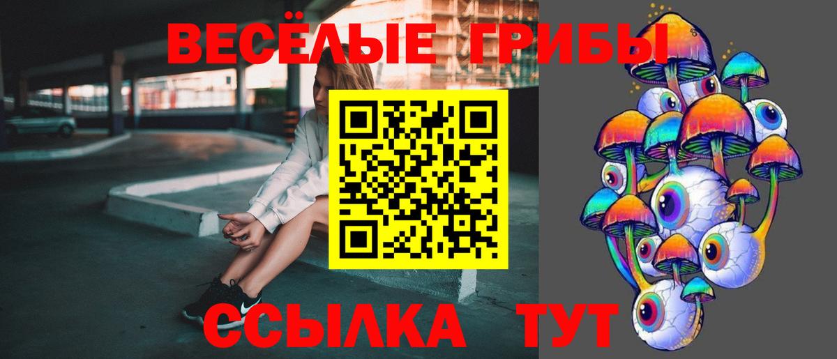 Псилоцибиновые грибы мухоморы Канаш