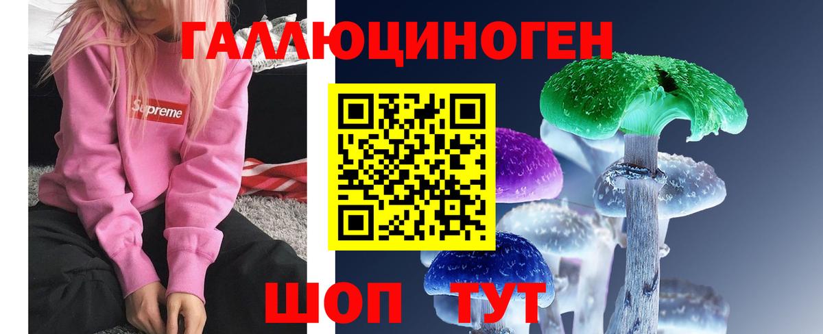 Канаш  Псилоцибиновые грибы Cubensis  купить наркотики цена  Вход с VPN  Галлюциногенные грибы GOLDEN TEACHER 