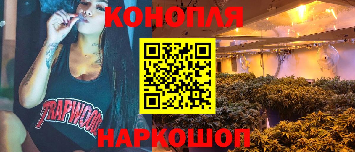 Каннабис сатива Канаш